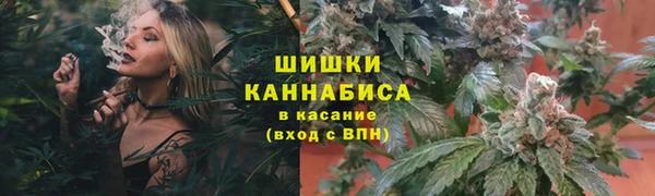 дмт Михайловск