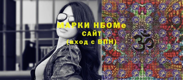 шишки Медногорск