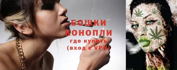 шишки Медногорск