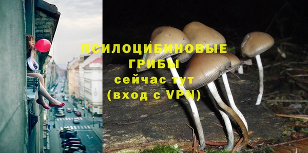 дмт Михайловск