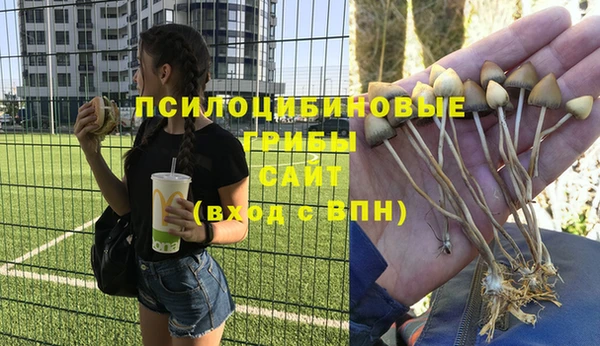 дмт Михайловск