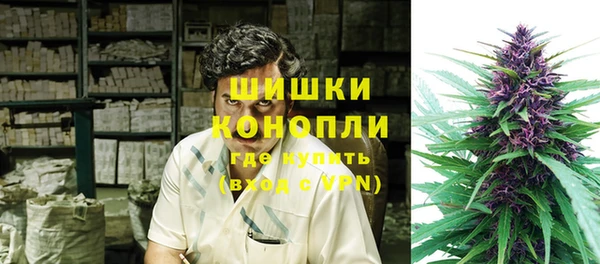 шишки Михайловка