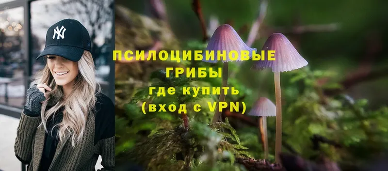 Галлюциногенные грибы MAGIC MUSHROOMS  Ладушкин 